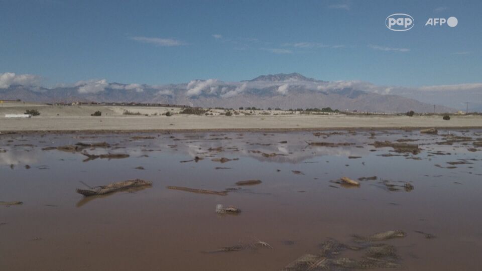 Kalifornia burza tropikalna