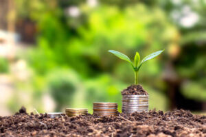 Kredyt płynnościowy