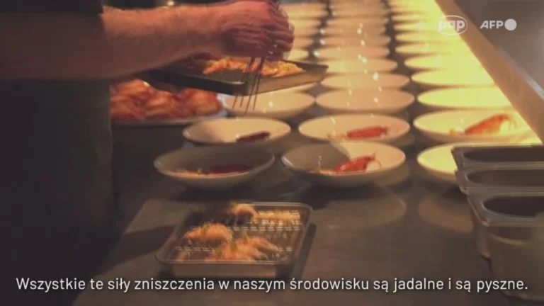 restauracja serwuje na obiad szkodniki