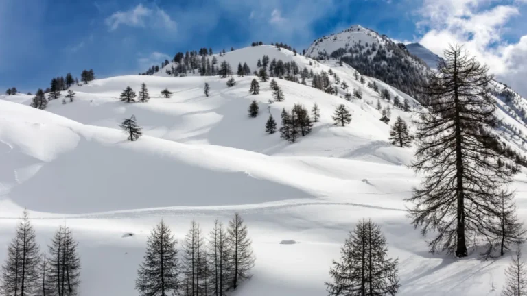 Jak się chronić przed lawiną