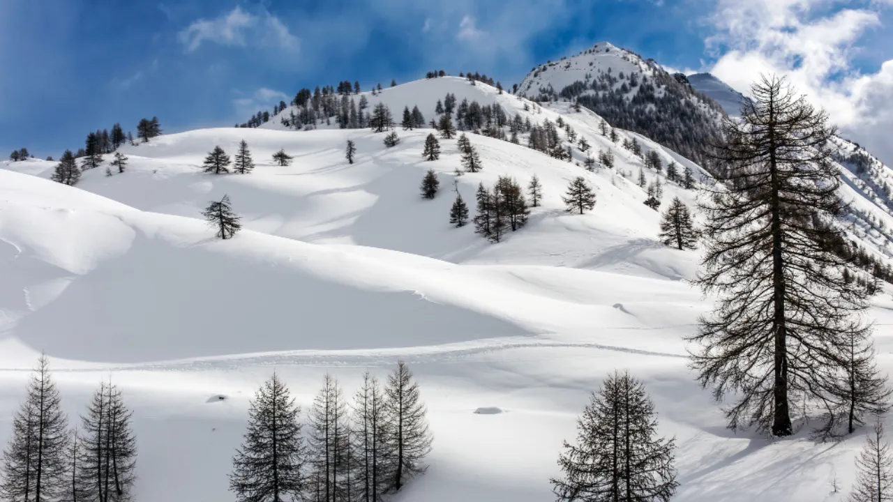 Jak się chronić przed lawiną
