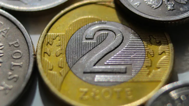 Wprowadzenie minimalnego stażu pracy może zahamować lawinowy wzrost mikroemerytur