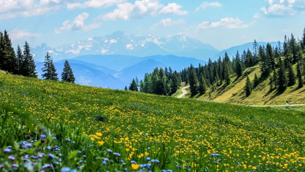 Turystyczny boom: góry w czołówce, nad morzem także ożywienie