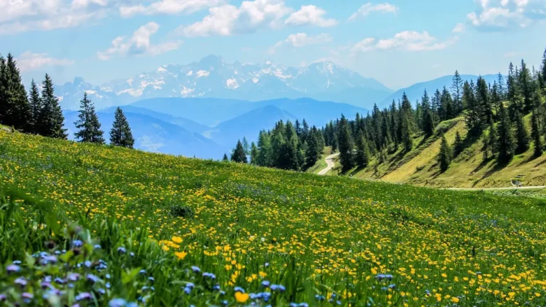 Turystyczny boom: góry w czołówce, nad morzem także ożywienie