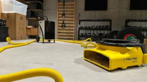 Wilgoć w domu to cichy wróg – sprawdź, jak skutecznie się jej pozbyć!